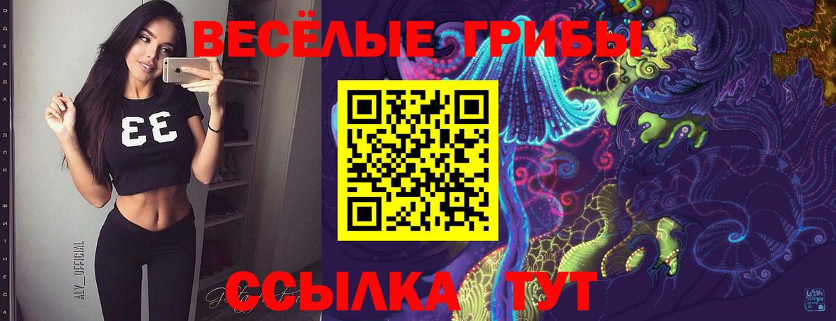 Азнакаево  Псилоцибиновые грибы мицелий  Вход с VPN 